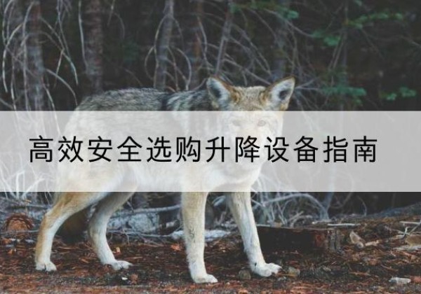 合水升降货梯厂家推荐-*安全选购升降设备指南