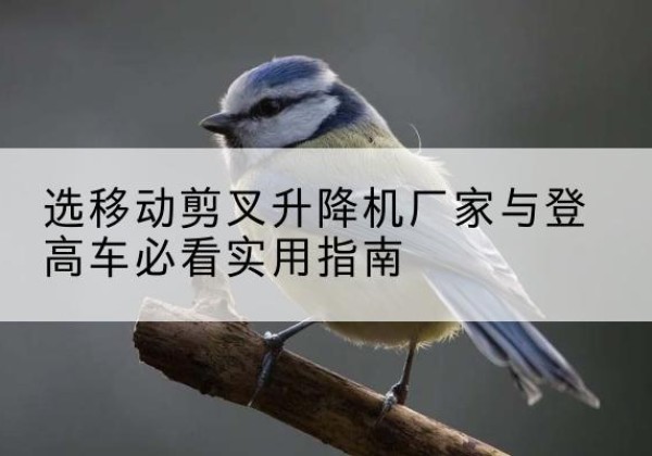 合水电动升降机厂家-选移动剪叉升降机厂家与登高车必看实用指南