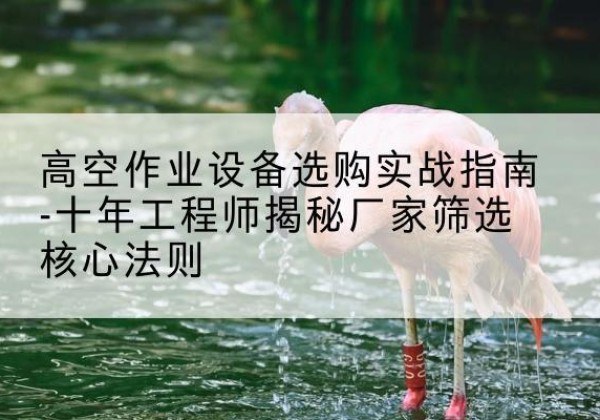 合水剪叉式升降机厂家-高空作业设备选购实战指南-十年工程师揭秘厂家筛选核心法则